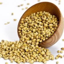 INDIAN CORIANDER SEEDS