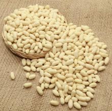 BLANCHED PEANUTS