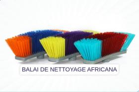 AFRICANA BROOM