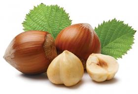 HAZELNUT IN SHELL