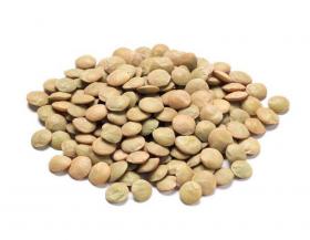 LENTIL SEEDS